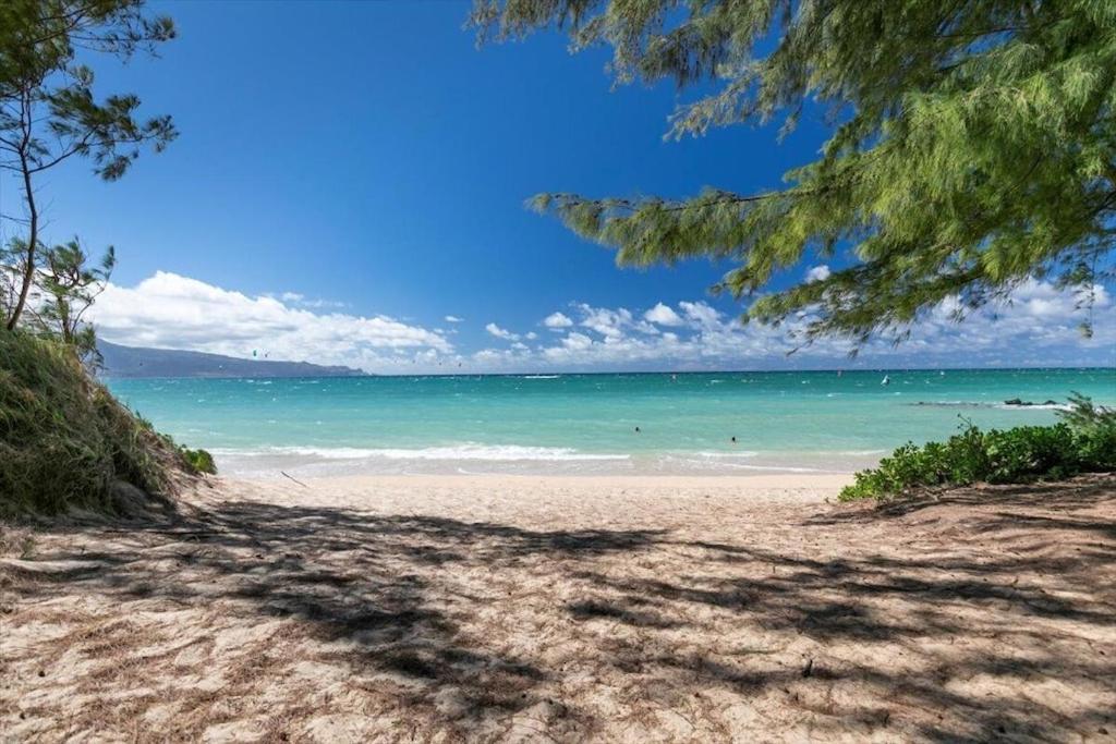 Unit 16 Maui Ohana Modern Studio Wailuku Exteriör bild